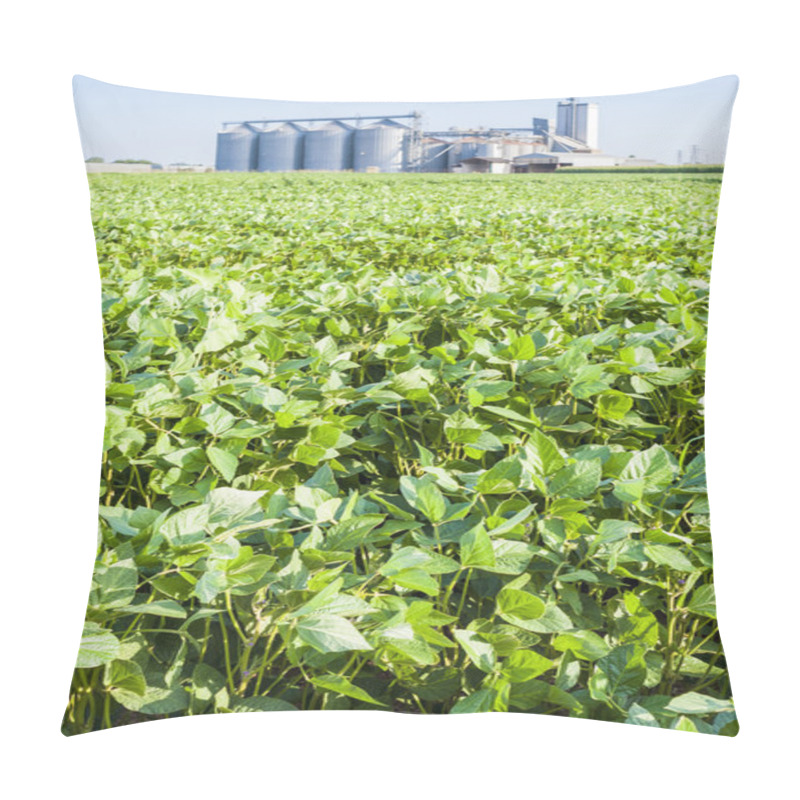 Personality  Soybean Field Pillow Covers