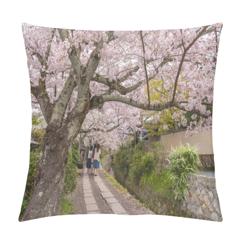 Personality  Philosopher's Walk With Sakura (cherry Blossom) In The Springtim Pillow Covers