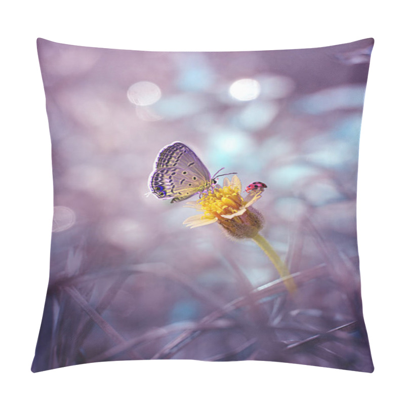 Personality  Lonely Butterfly On The Yellow Flowers Pillow Covers