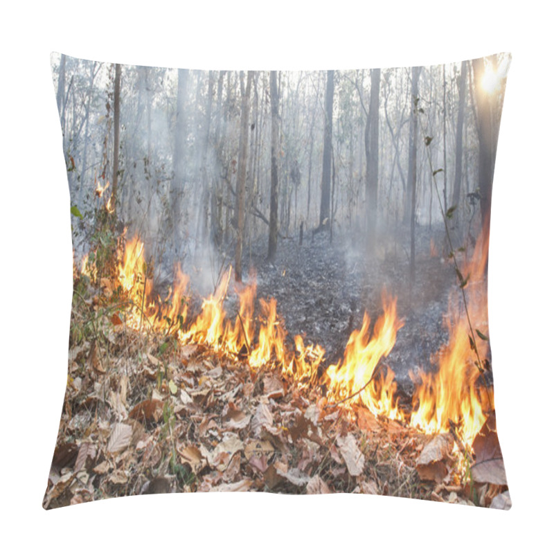 Personality  Destroyed By Burning Tropical Forest ,Thailand Pillow Covers