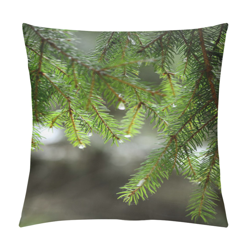 Personality  Pine Tree Close-up Pillow Covers