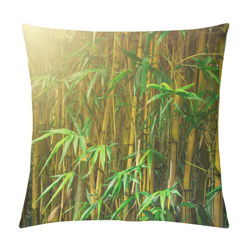 Personality  Bamboo Trees Pillow Covers