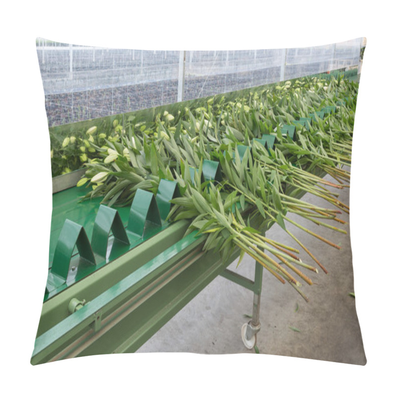 Personality  Conveyer Belt In Dutch Greenhouse For Transporting Fresh Picked Lilys Pillow Covers