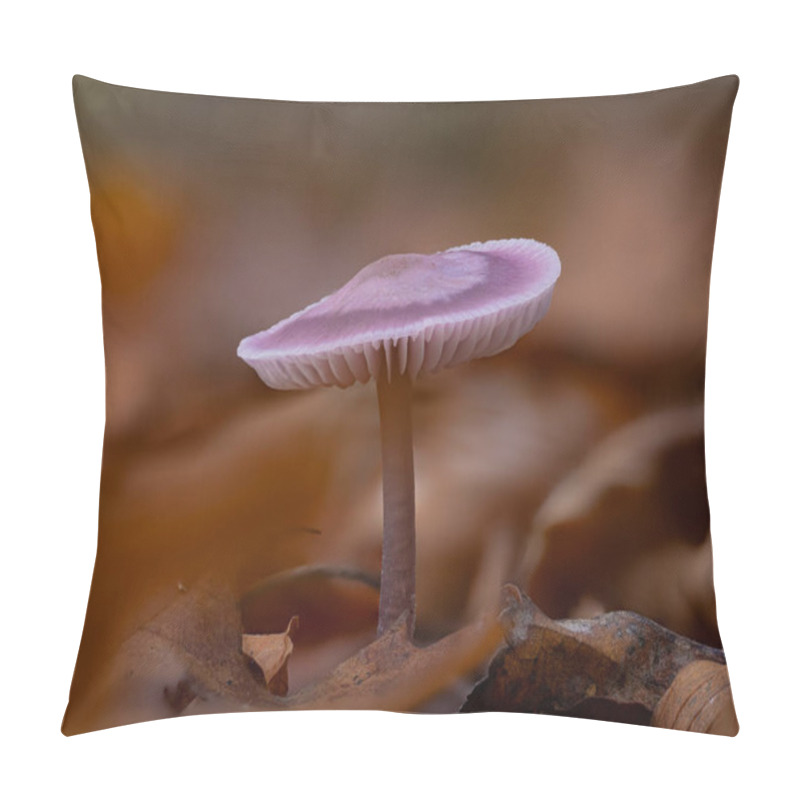 Personality  A Closeup Of The Mycena Pura Mushroom Pillow Covers