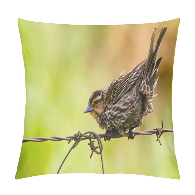 Personality  Bird Perched On Barbed Wire Fence Pillow Covers