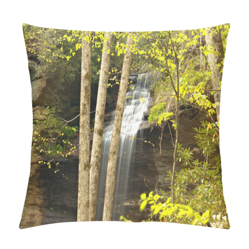 Personality  Flowing Water Falls Along The Blue Ridge Parkway Pillow Covers