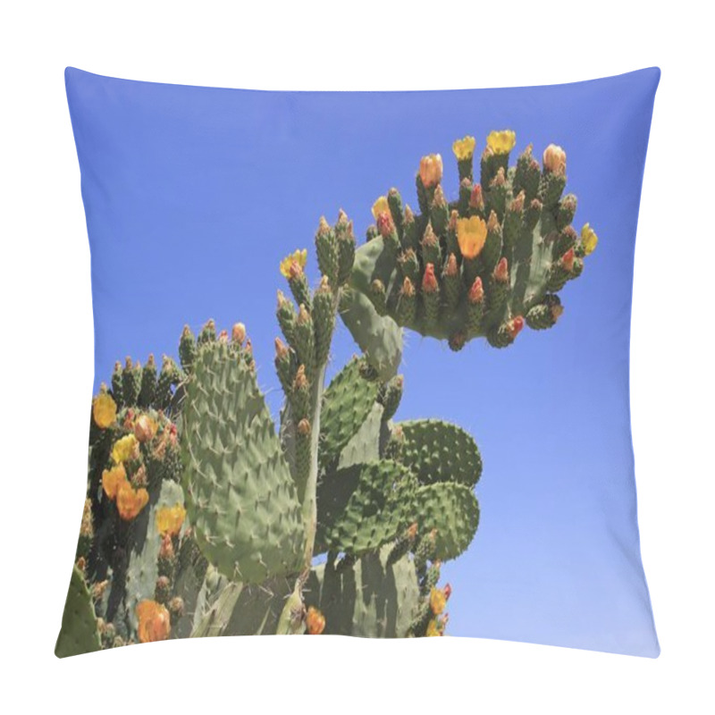 Personality  Flowering And Fruiting Prickly Pear (Opuntia Ficus-indica), Opuntia, Indian Figs Pillow Covers