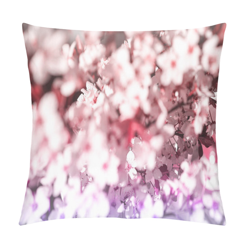 Personality  Blooming Tree With White, Pink Flowers In Morning Sunshine And Shadow, Blurred Sunlight. Soft Focus. Spring Blossom Flower Background. Pillow Covers