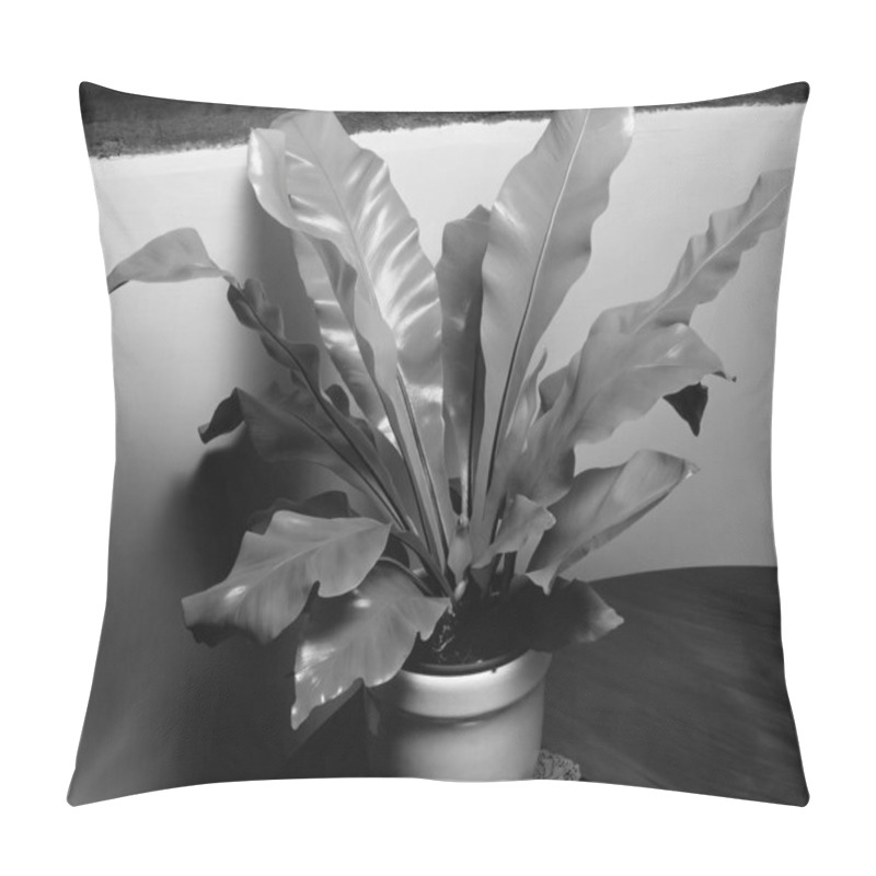 Personality  Flowers Close View, Natural Plants Black And White Photo Background Pillow Covers