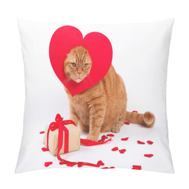 Personality  British Cat, Portrait Cat , Valentine's Day, Heart Pillow Covers