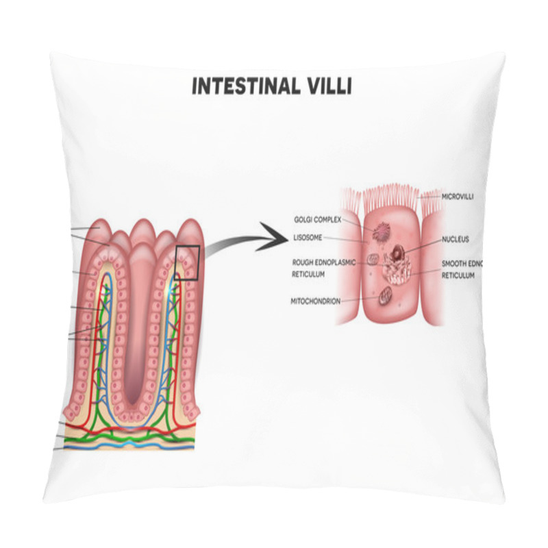 Personality  Intestinal Villi And Microvilli Pillow Covers