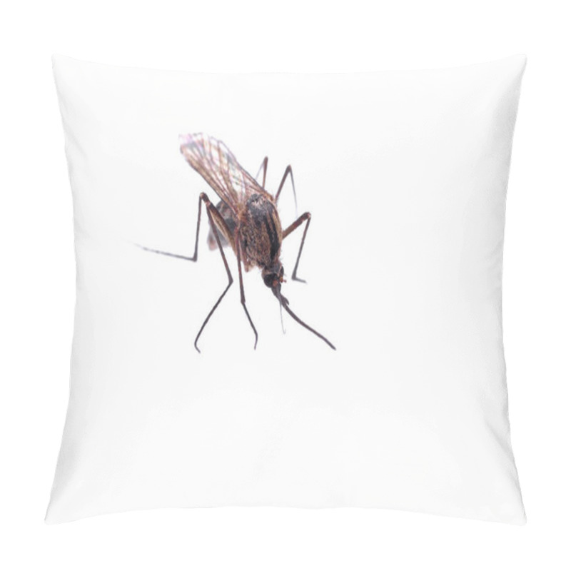 Personality  A Close-up Of A Mosquito On A White Background Pillow Covers