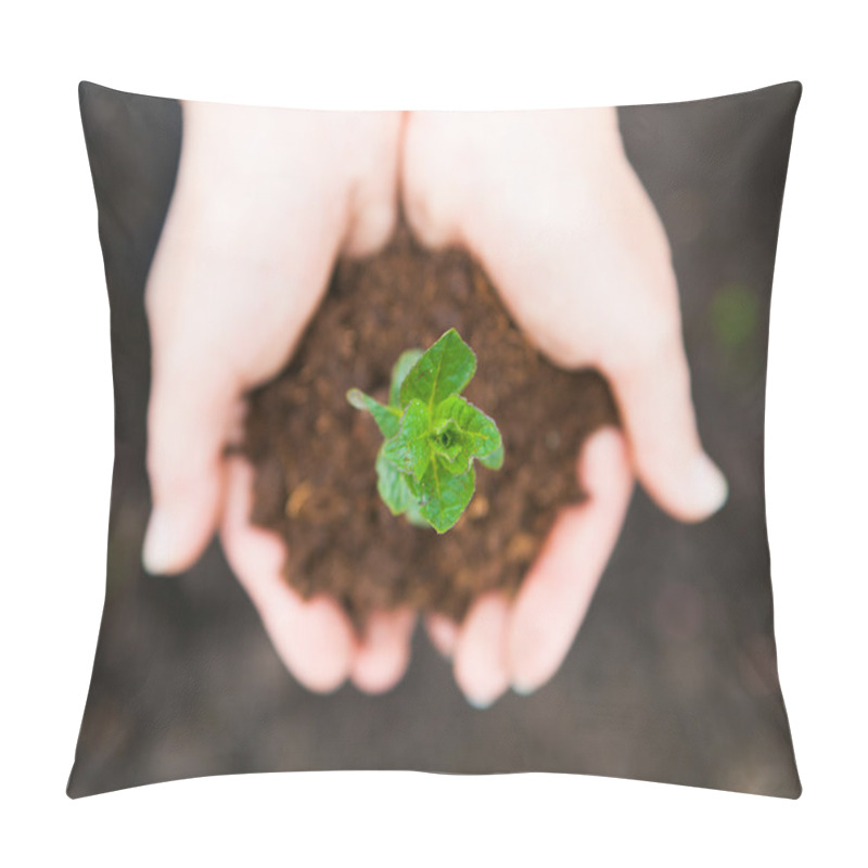 Personality  Female Hands Keeping Young Plant Against The Soil. Ecology Conce Pillow Covers