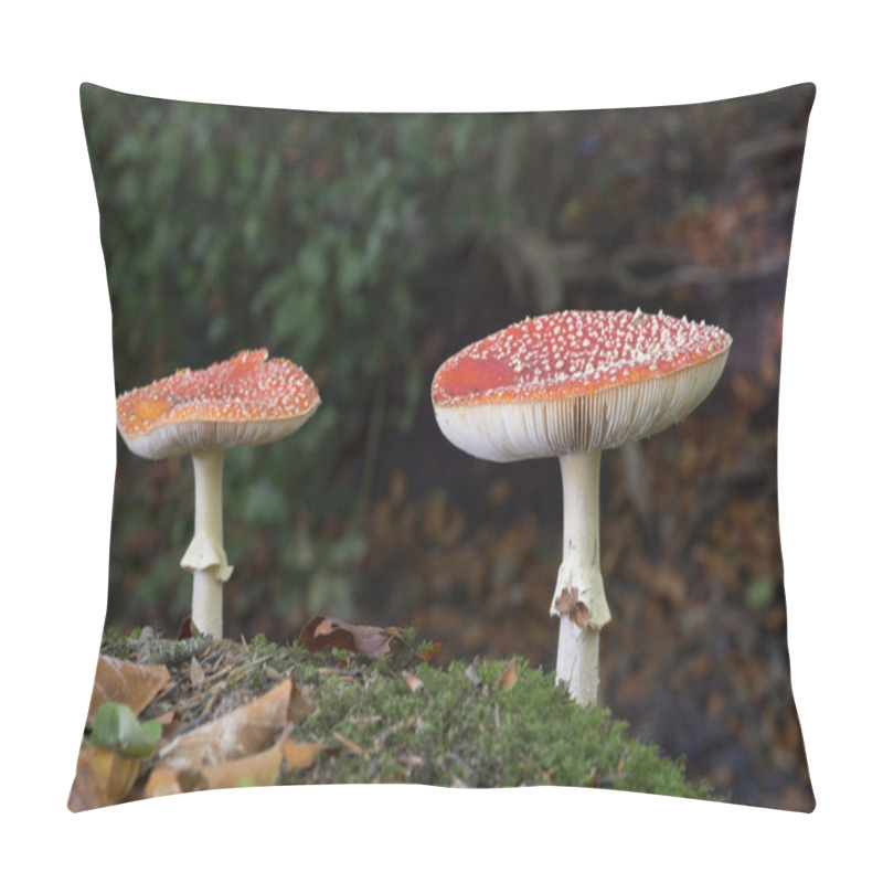 Personality  Amanita Muscaria Pillow Covers