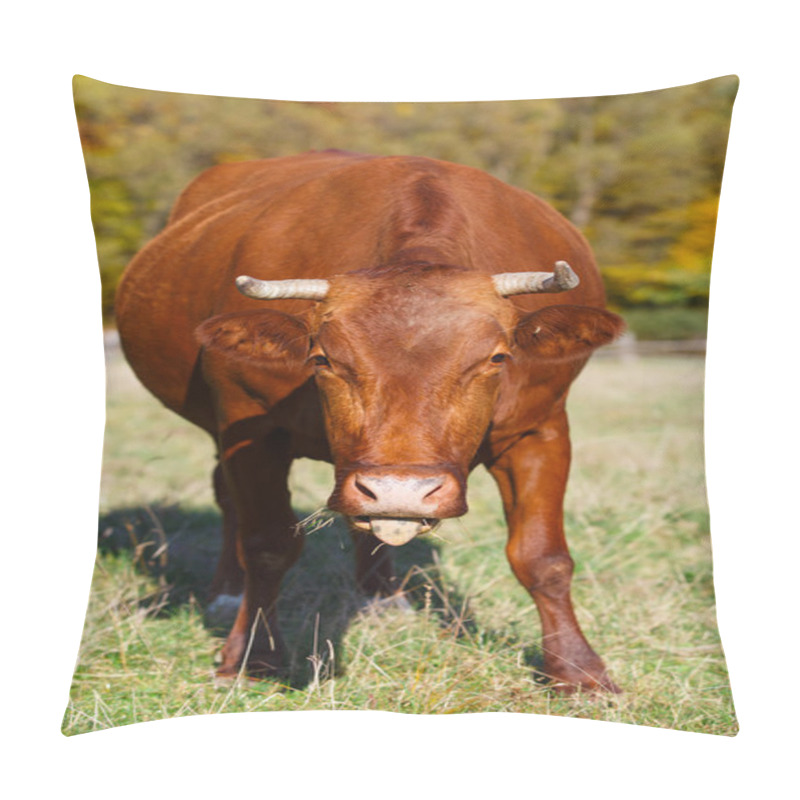 Personality  Single Cow Grazes In Field. Blazing Orange Maple Tree Highlights Green Pasture. Pillow Covers