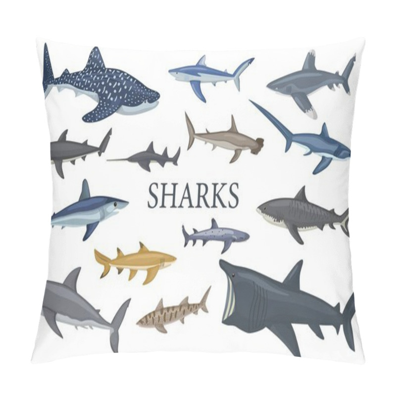 Personality  Set Shark Isolated On White Background In Flat. Different Kind Of Sharks Hammerhead, White, Leopard, Mako, Bull, Saw, Fox, Basking, Tiger. Design Sea Animals For Any Purposes. Vector Illustration. Pillow Covers