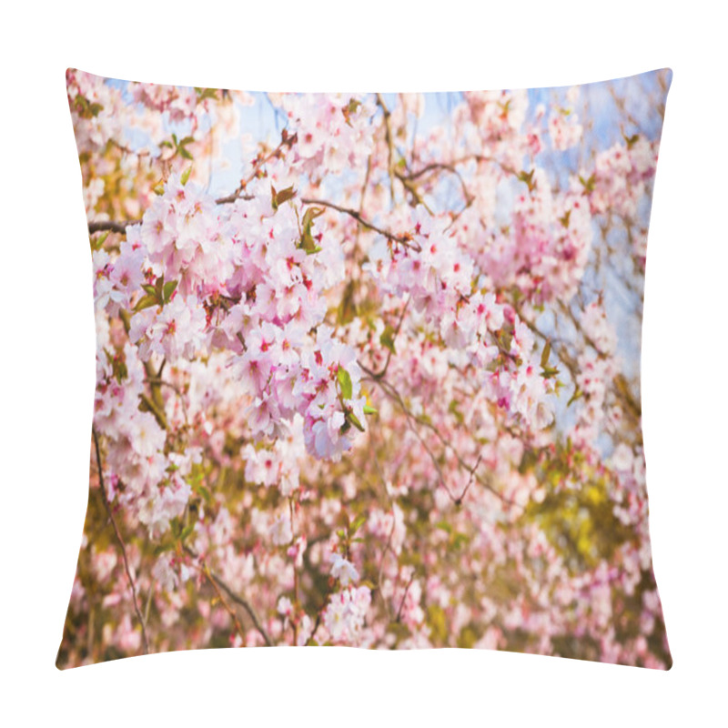 Personality  Sakura Flowers Blooming. Beautiful Pink Cherry Blossom Pillow Covers