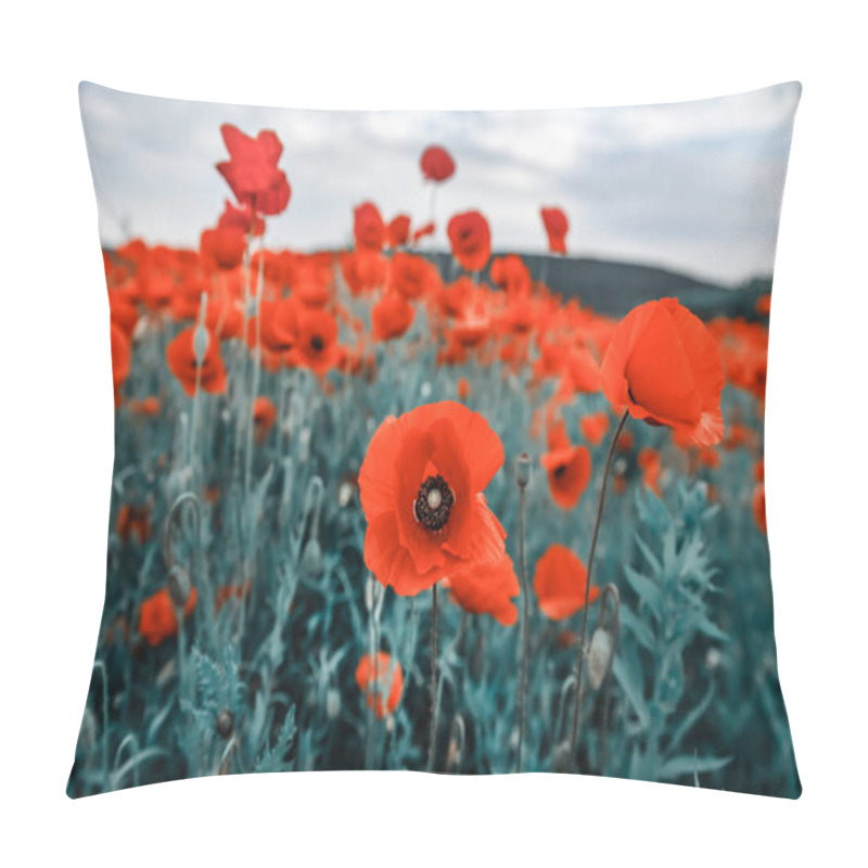 Personality  Field Of Poppies Pillow Covers