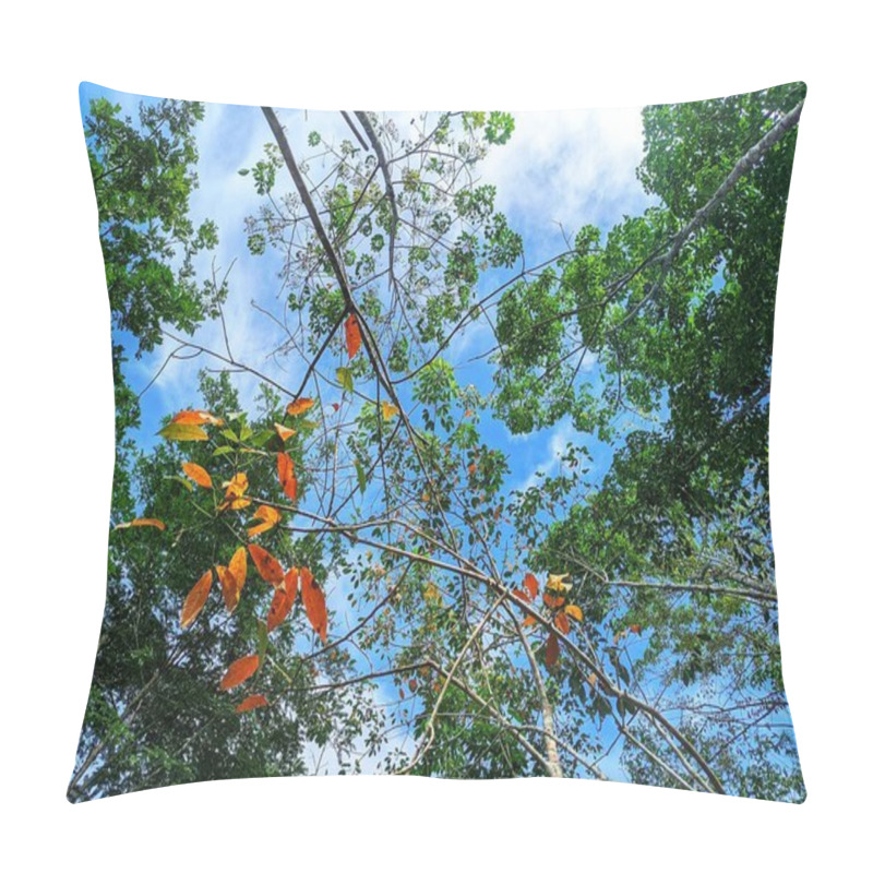 Personality  Rubber Tree Branches Visible From Below During The Day Pillow Covers