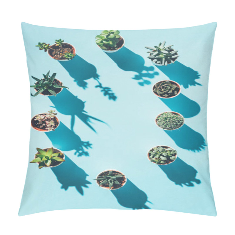 Personality  Top View Of Letter O Made From Green Potted Plants On Blue Pillow Covers