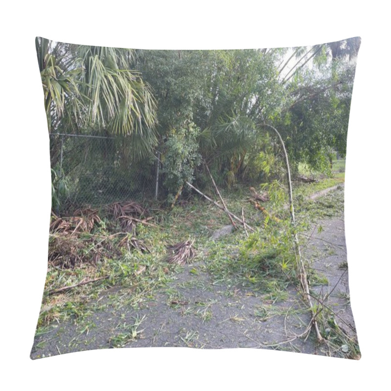 Personality  Lakeland, Fla USA 10 11 24: Hurricane Milton Damage And Scattered Foliage Branch Pillow Covers