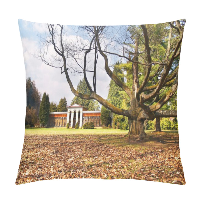 Personality  Turcianska Stiavnicka - Massive Tree Pillow Covers