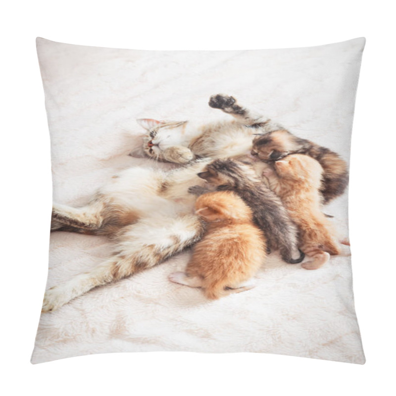 Personality  Mother Cat Nursing Baby Kittens Pillow Covers