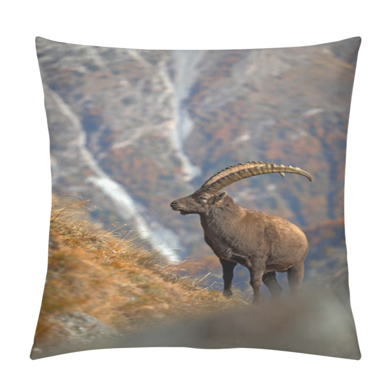 Personality  Alpine Ibex In Nature Habitat Pillow Covers