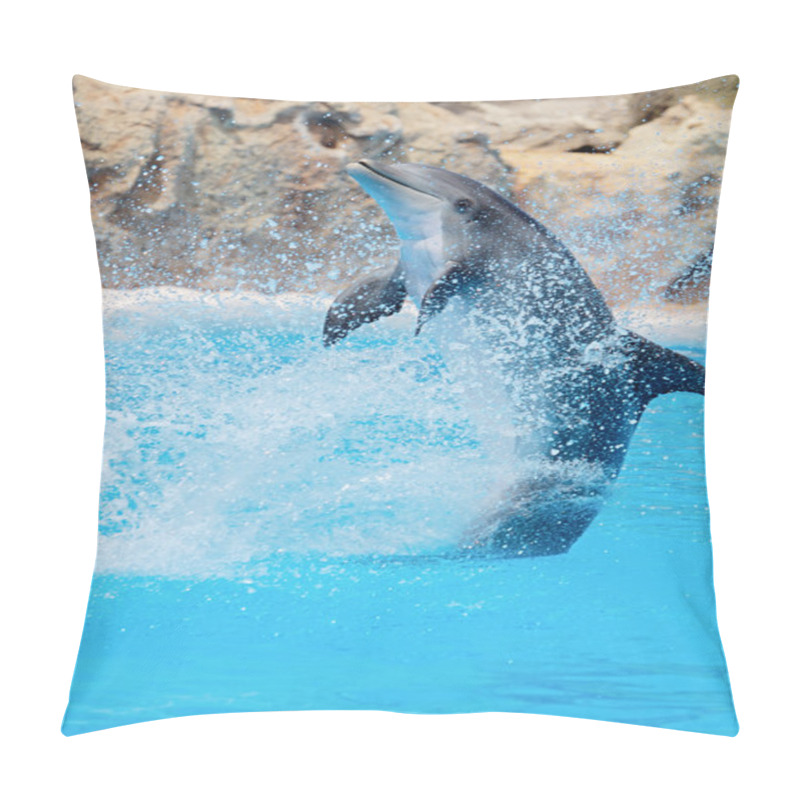 Personality  Dolphin Pillow Covers