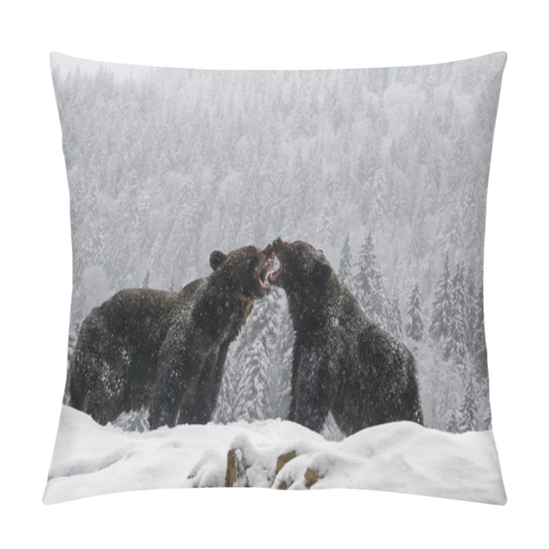 Personality  Close-up Two Angry Brown Bear Fight In Winter Forest. Danger Animal In Nature Habitat. Big Mammal. Wildlife Scene Pillow Covers