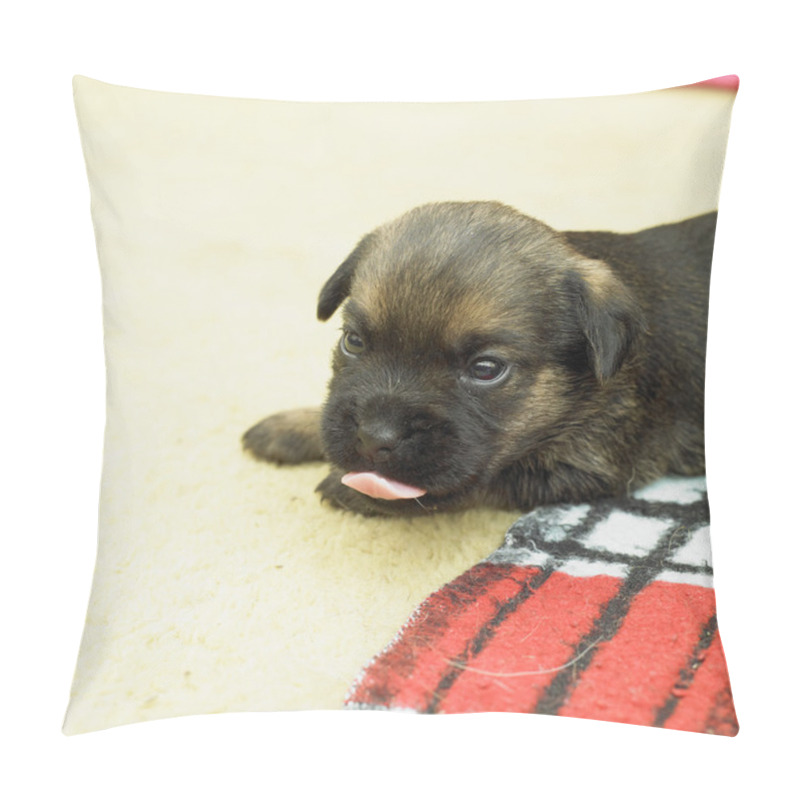 Personality  Puppy Pillow Covers