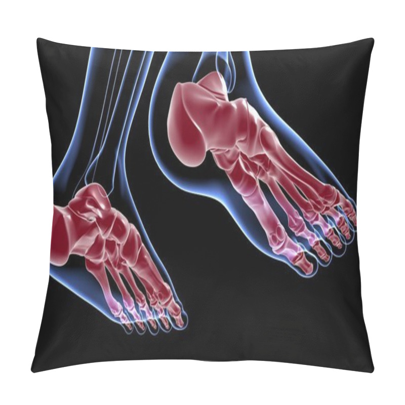 Personality  Human Skeleton Foot Bones Anatomy For Medical Concept 3D Illustration Pillow Covers