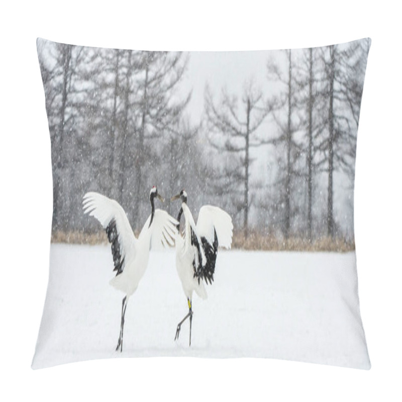 Personality  Dancing Cranes. The Ritual Marriage Dance Of Cranes. The Red-crowned Crane. Scientific Name: Grus Japonensis, Also Called The Japanese Crane Or Manchurian Crane. Natural Habitat. Japan. Pillow Covers