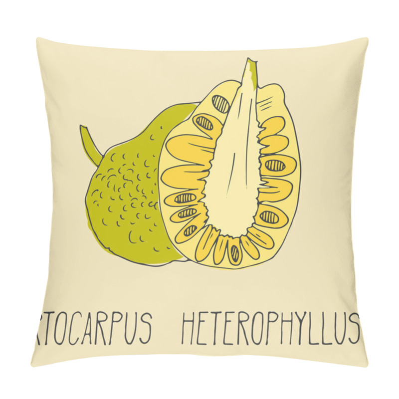 Personality  Hand Drawing Illustration Of Jackfruit. Pillow Covers