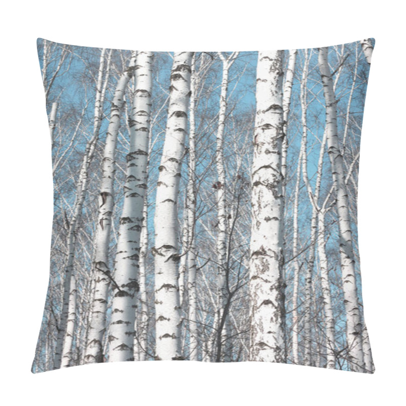 Personality  Several Birches With White Birch Bark In Birch Grove Among Other Birches Pillow Covers