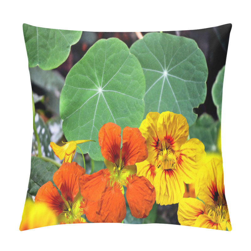 Personality  Nasturtium Flowers Pillow Covers