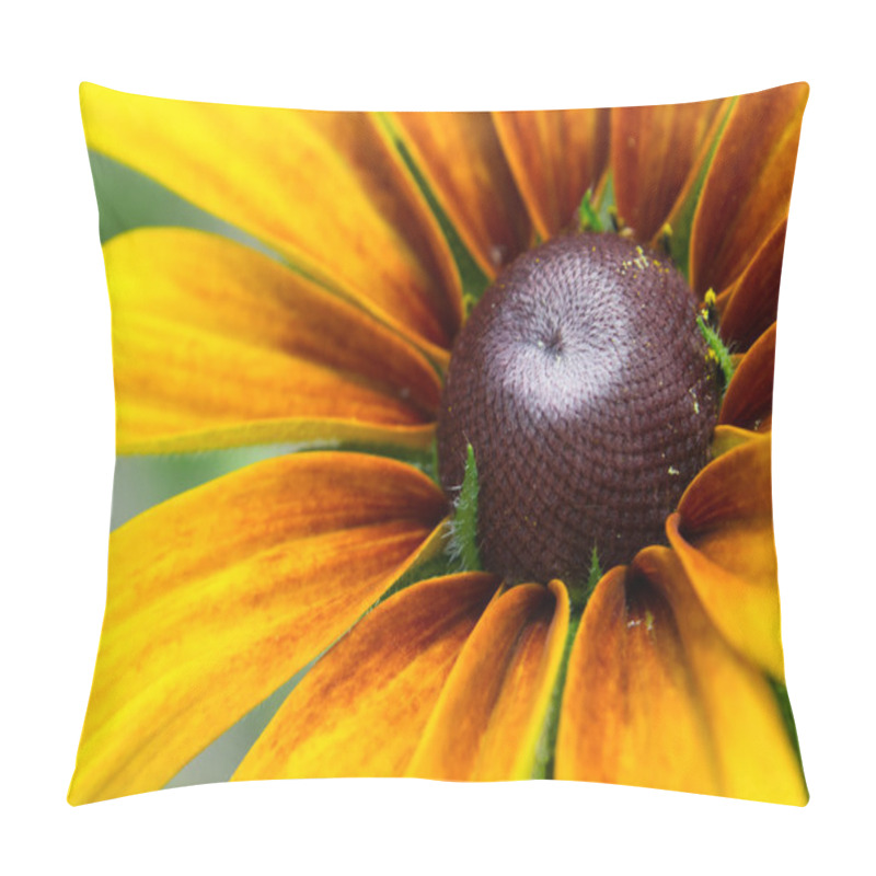 Personality  Blooming Rudbeckia  Black-eyed Susan Flower Pillow Covers