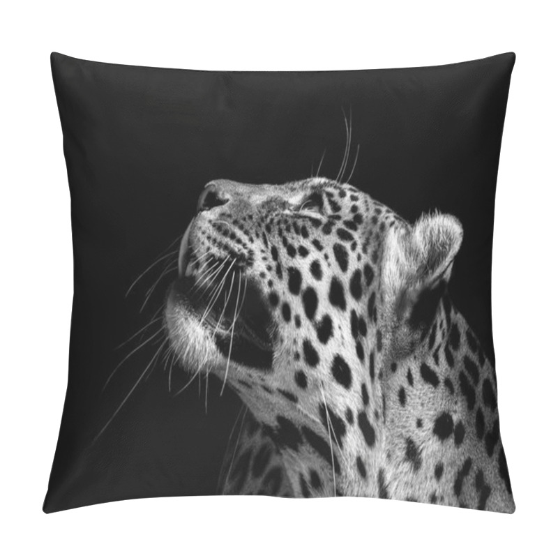 Personality  Leopard Wildlife , Animal Isolated Pillow Covers