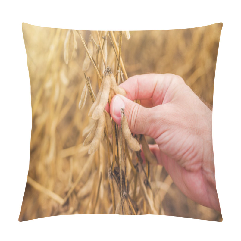 Personality  Farmer Hand In Harvest Ready Soy Bean Field Pillow Covers