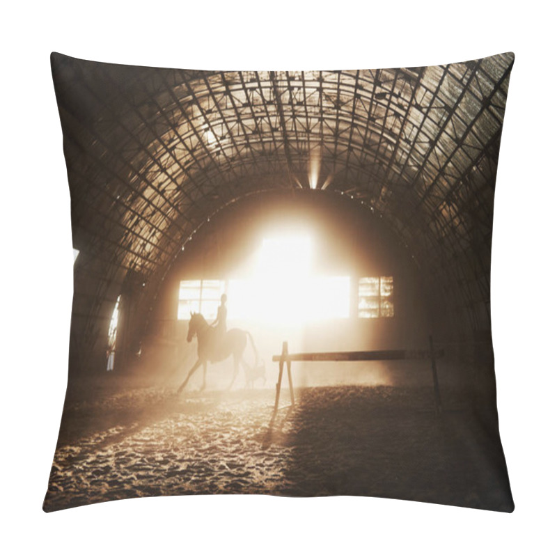 Personality  Majestic Image Of Horse Horse Silhouette With Rider On Sunset Background. The Girl Jockey On The Back Of A Stallion Rides In A Hangar On A Farm And Jumps Over The Crossbar. The Concept Of Riding. Pillow Covers