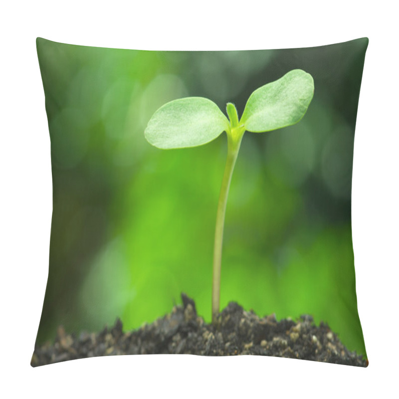 Personality  Sunflower Sprout On Vivid Green Bokeh Background.(horizontal) Pillow Covers