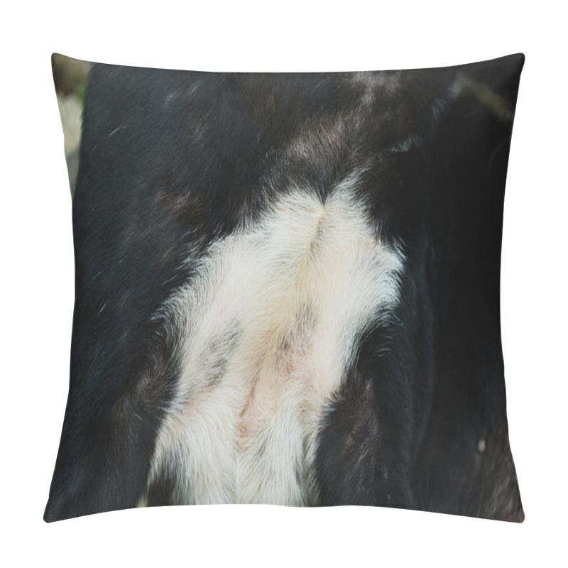 Personality  Black And White Dog Fur Texture Suitable For Background Pillow Covers