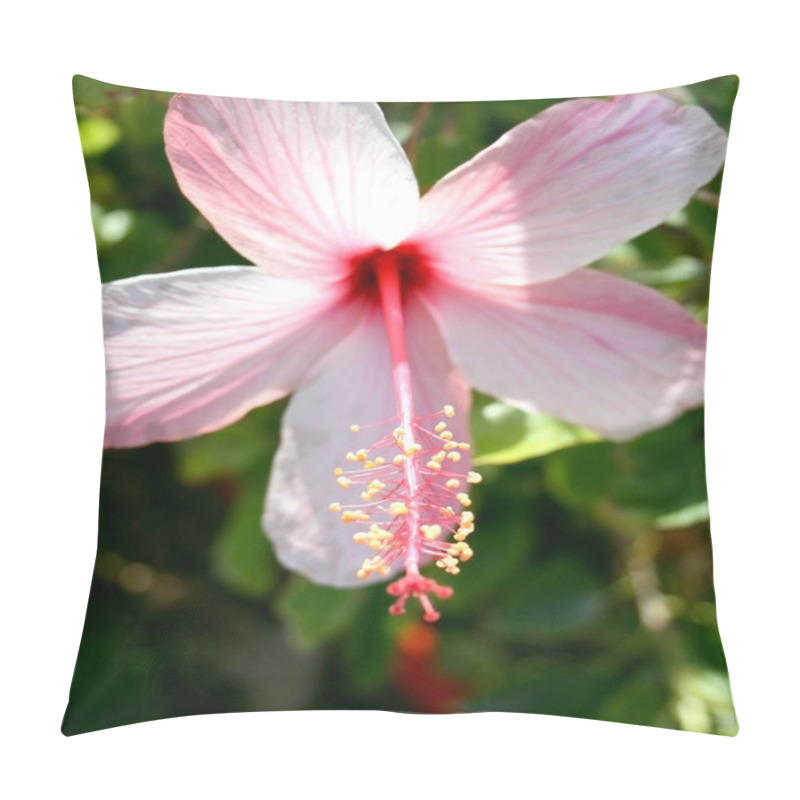 Personality  Hibiscus Hibiscus Pillow Covers