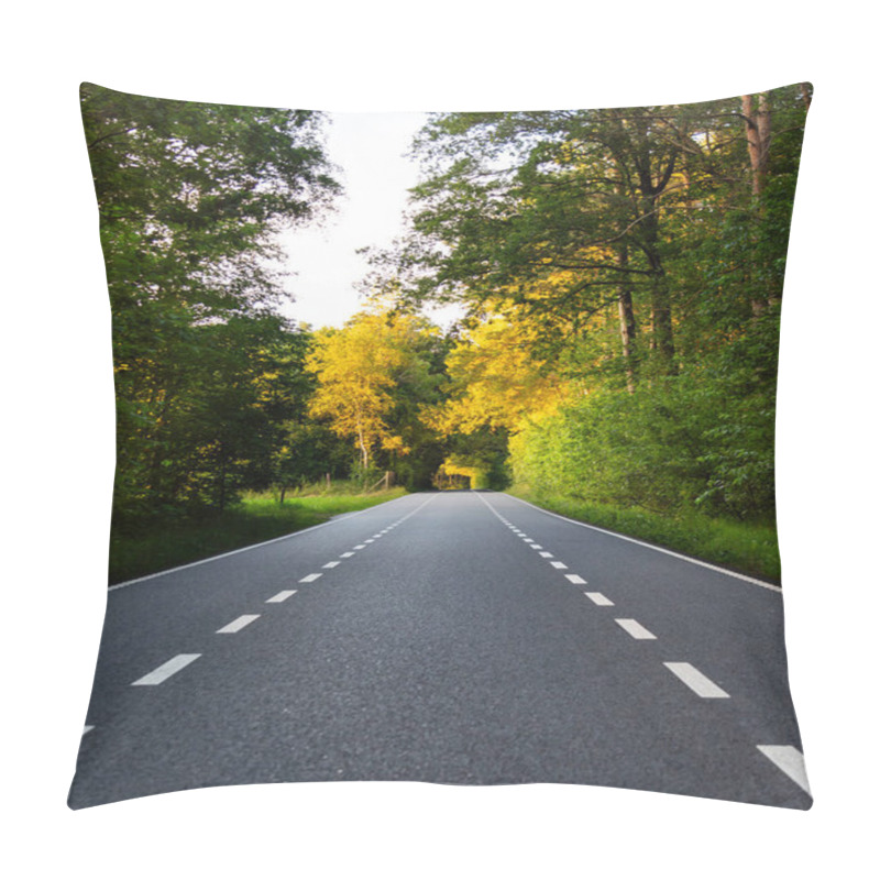 Personality  Peaceful Asphalt Road Stretches Through Green Trees Adorned With Golden Birch Tree Foliage, Illuminated By A Warm Summer Sunset In The Netherlands, Inviting Tranquility And Exploration Pillow Covers