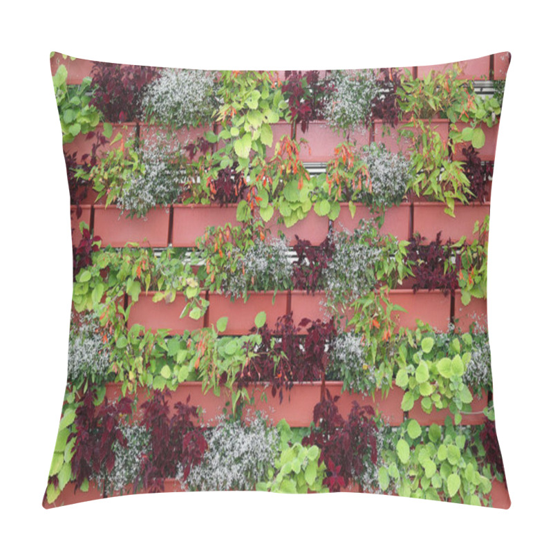 Personality  Arrangement Of Flower Plant Pots On A Vertical Wall As Space Saver. Pillow Covers