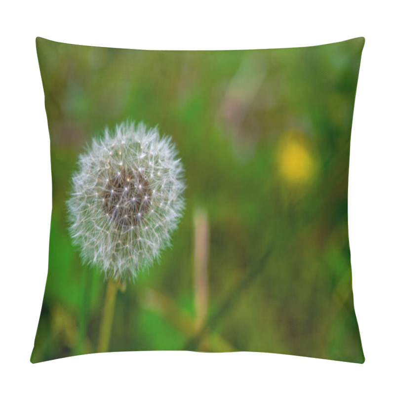 Personality  A Macro Photo Captures The Delicate, Intricate Details Of A Dandelion, Showcasing Its Fragile Seeds And Vibrant Texture. Pillow Covers