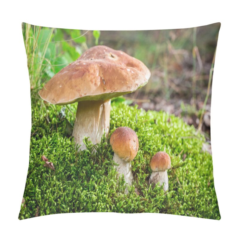 Personality  Wild Noble Mushrooms In Forest Pillow Covers