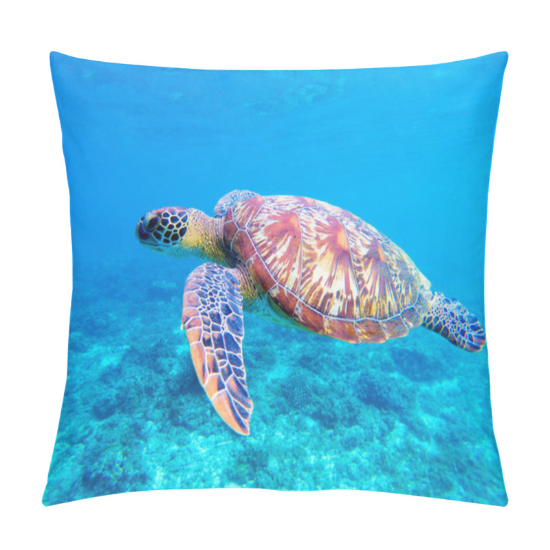 Personality  Green Sea Turtle Closeup. Big Green Sea Turtle Closeup. Marine Species In Wild Nature. Pillow Covers