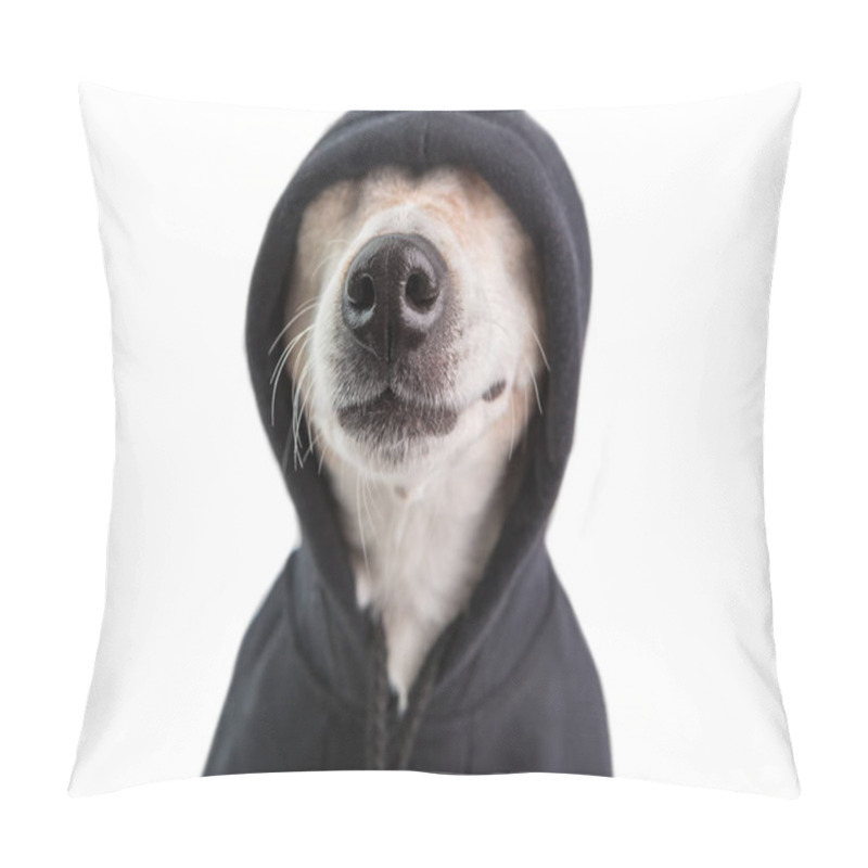 Personality  Adorable Dog Nose In Black Hoodie. Funny Pet Face. Positive Cutie Gangster Style. White Background. Pet Jokes. Skeptical Look Pillow Covers