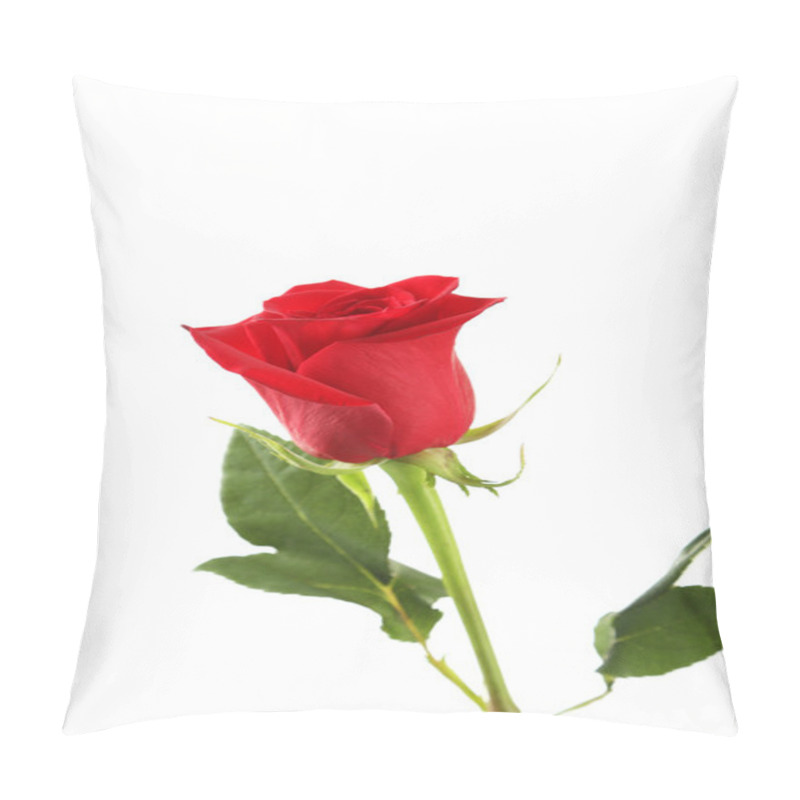 Personality  One Red Rose Pillow Covers